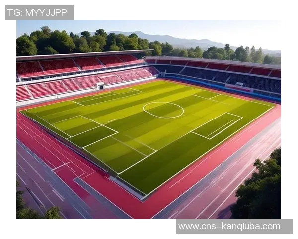 全面解析足球规则与技巧助你成为场上高手